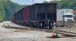 WE 835032 is new to rrpa.